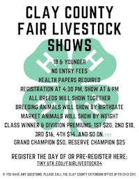 clay county fair livestock shows flyer