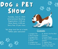 dog and pet show flyer