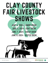 clay county fair livestock show poster